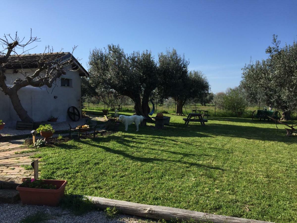 C'Era Una Volta Podere San Giovanni Fossacesia Exteriér fotografie
